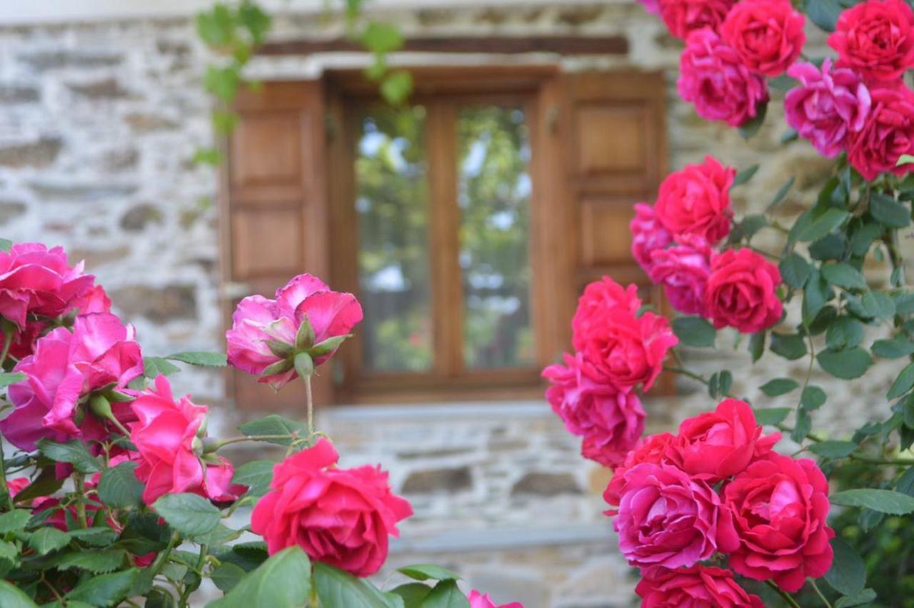 Triantafillies Guesthouse ปอร์เตเรีย ภายนอก รูปภาพ